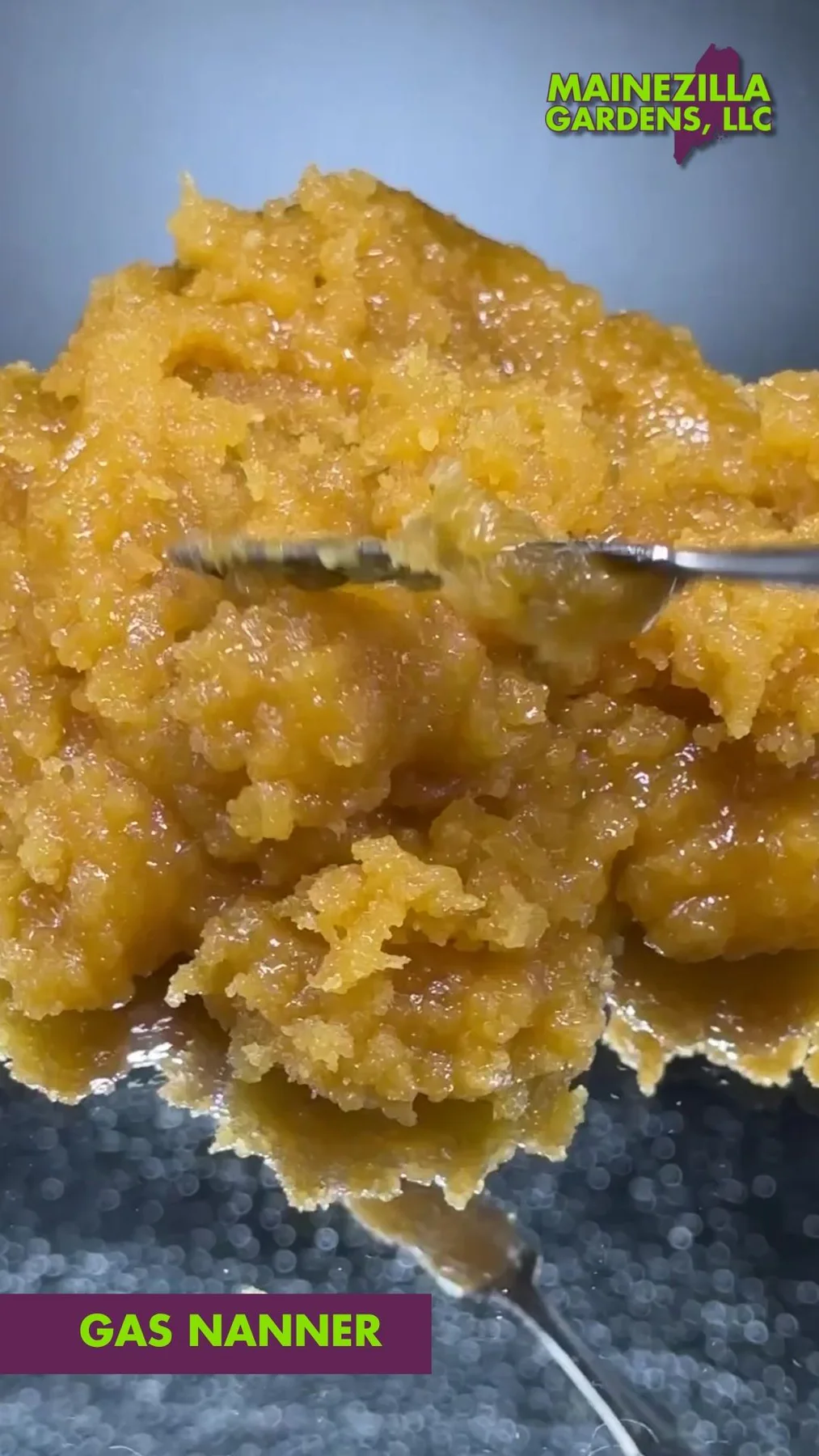 Macro photograph of Gas Nanner cannabis concentrate showing its wax-like texture