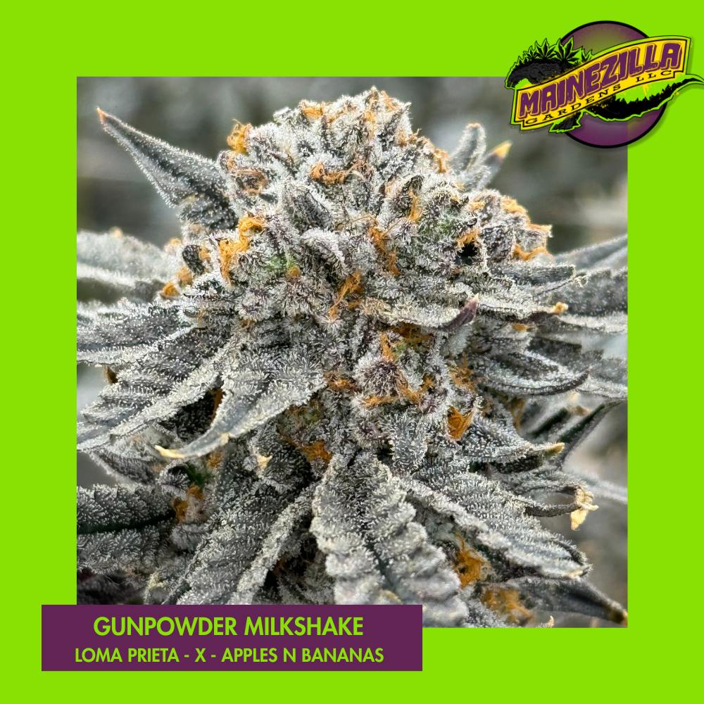 Gunpowder Milkshake Flower 7g - Maine Cannabis