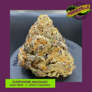 Gunpowder Milkshake Flower - Mainezilla - Maine