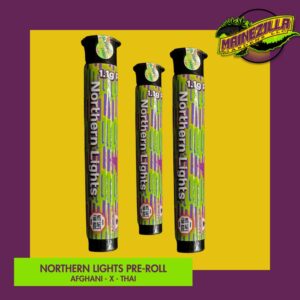 The Northern Lights Pre-Roll 1.1g