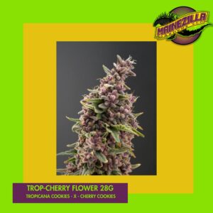 Trop Cherry 28g award-winning cannabis flower