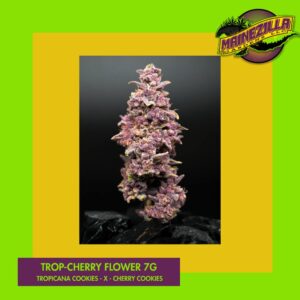 Trop Cherry 7g Cannabis Flower - Maine