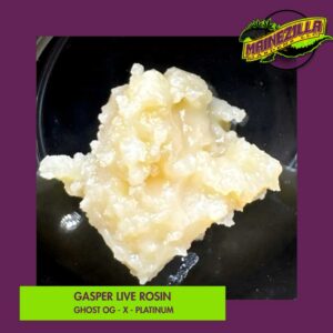 Gasper Live Rosin - Mainezilla