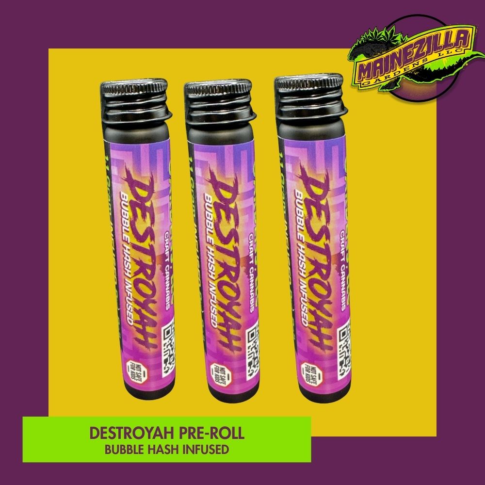 Destroyah bubble hash infused pre-roll
