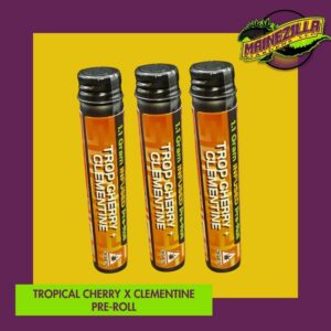 trop cherry Clementine pre-roll